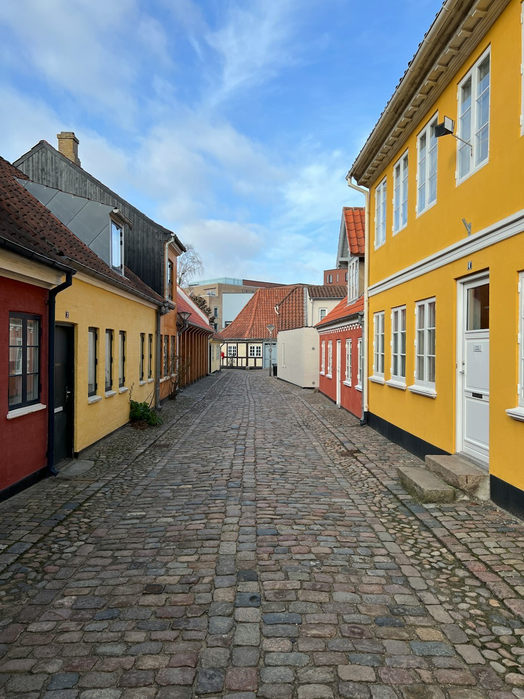 Narrow street in a traditional Danish fishing village with colorful houses